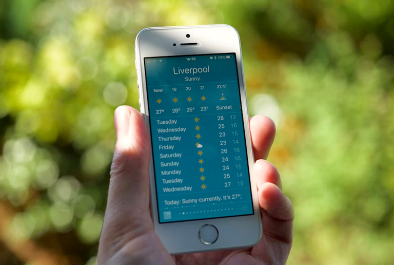 forecast