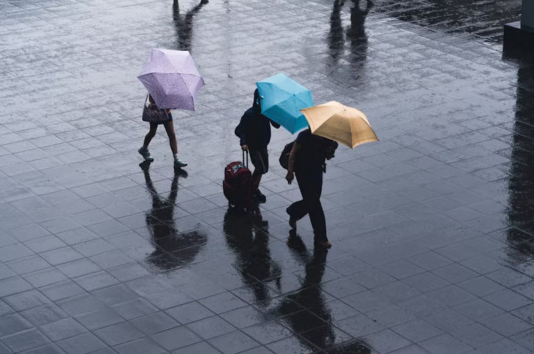 rainy